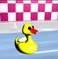 TN_chessboard_duck.JPG